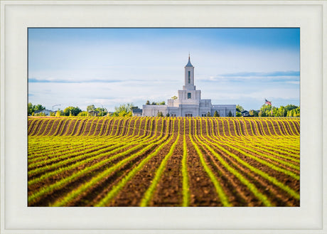 Moses Lake Temple - Seed of Faith
