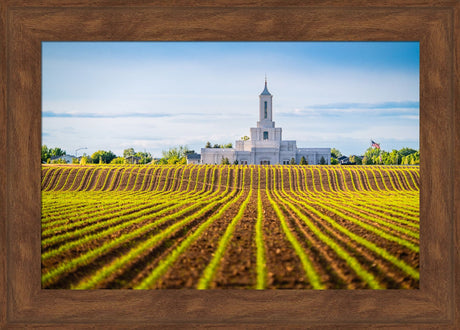 Moses Lake Temple - Seed of Faith