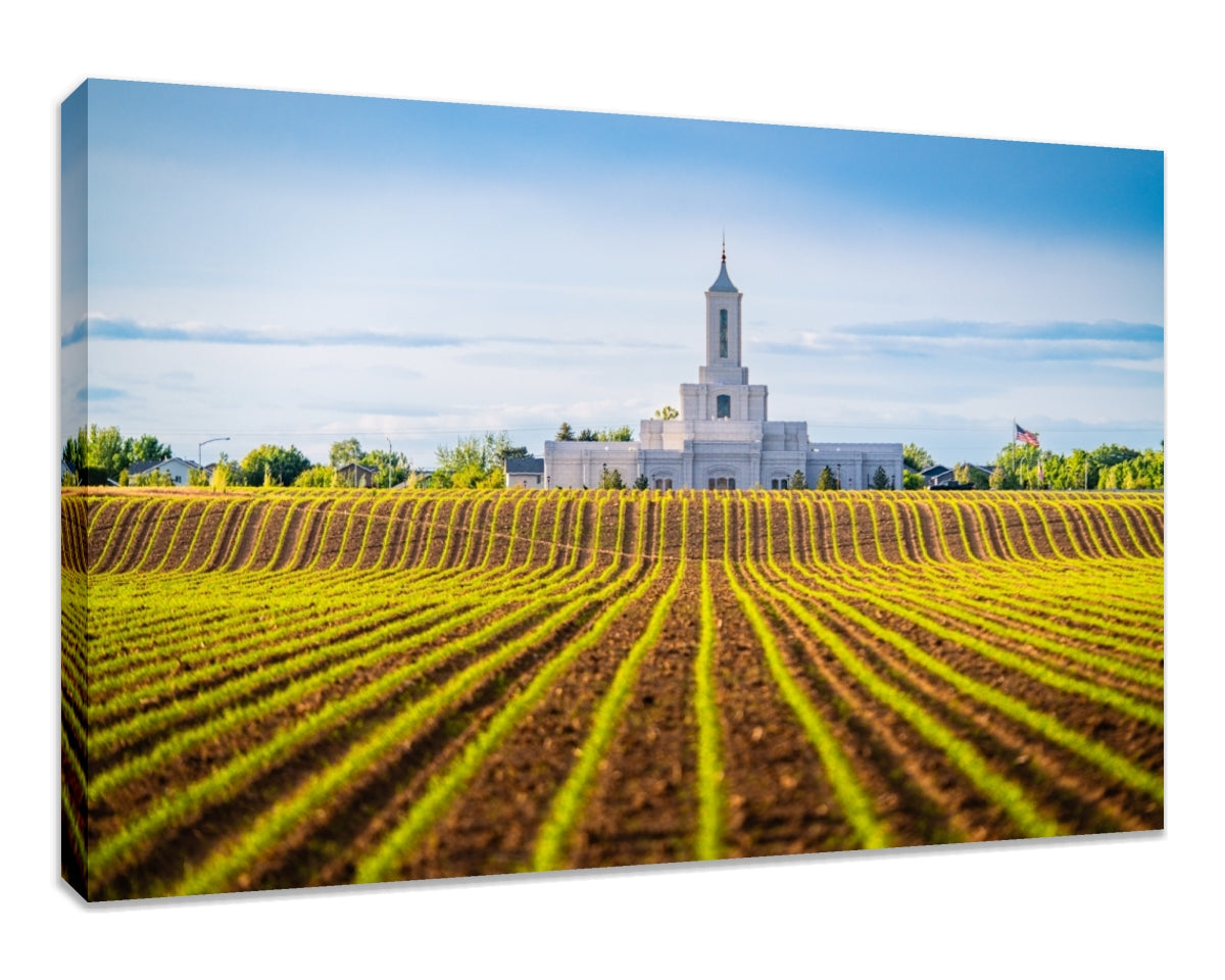 Moses Lake Temple - Seed of Faith
