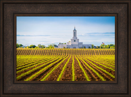 Moses Lake Temple - Seed of Faith