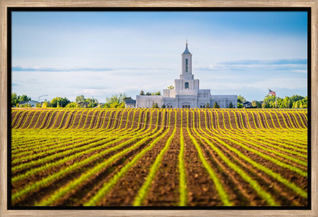 Moses Lake Temple - Seed of Faith