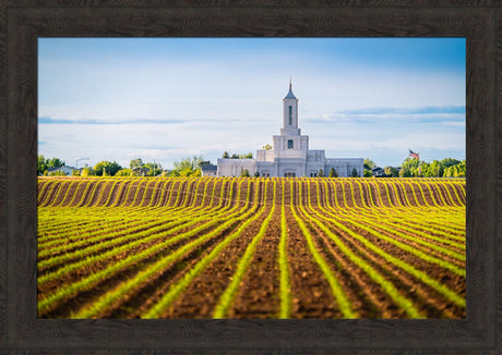 Moses Lake Temple - Seed of Faith