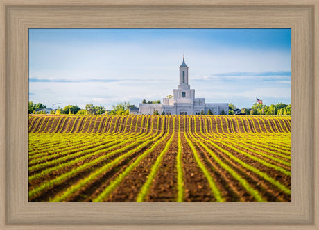 Moses Lake Temple - Seed of Faith