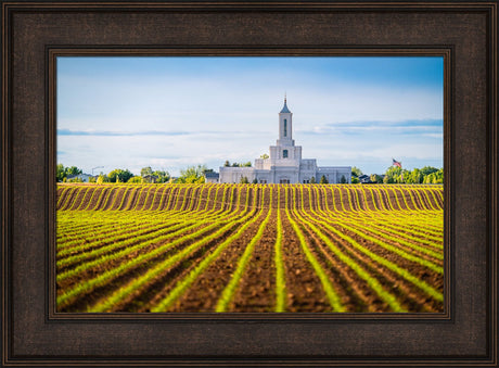 Moses Lake Temple - Seed of Faith