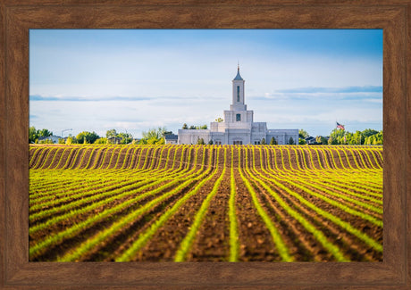 Moses Lake Temple - Seed of Faith