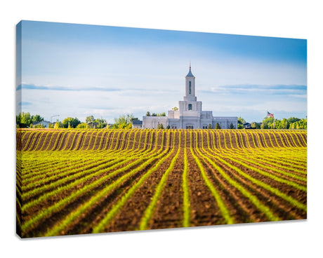 Moses Lake Temple - Seed of Faith