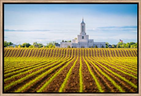 Moses Lake Temple - Seed of Faith