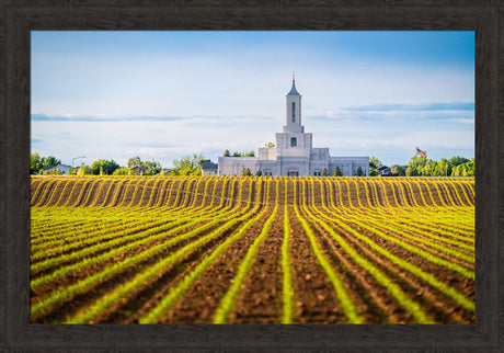 Moses Lake Temple - Seed of Faith