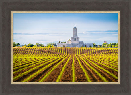 Moses Lake Temple - Seed of Faith