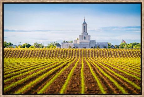 Moses Lake Temple - Seed of Faith
