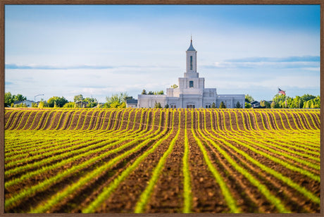 Moses Lake Temple - Seed of Faith
