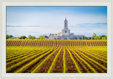 Moses Lake Temple - Seed of Faith