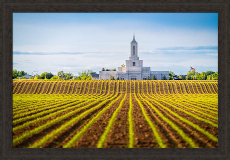 Moses Lake Temple - Seed of Faith