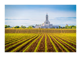 Moses Lake Temple - Seed of Faith