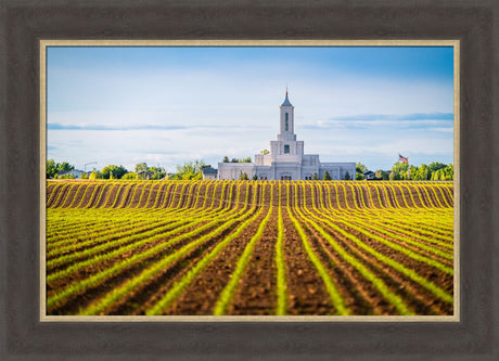 Moses Lake Temple - Seed of Faith