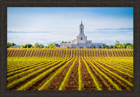 Moses Lake Temple - Seed of Faith