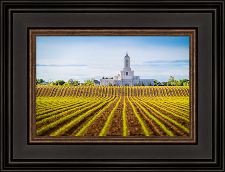 Moses Lake Temple - Seed of Faith