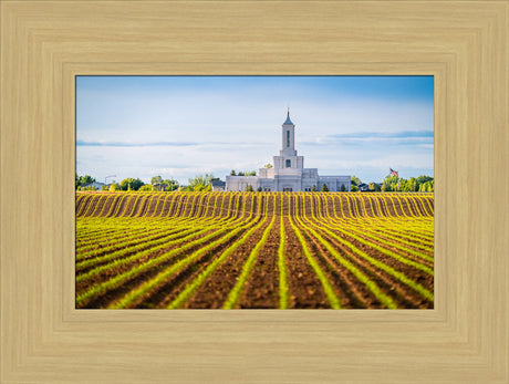 Moses Lake Temple - Seed of Faith