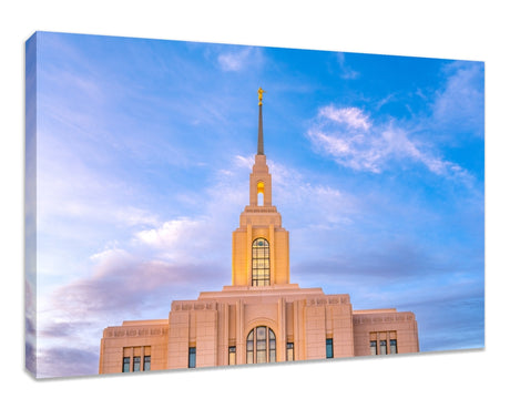 Red Cliffs Utah Temple - Pink Sky