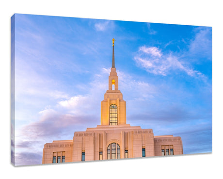 Red Cliffs Utah Temple - Pink Sky