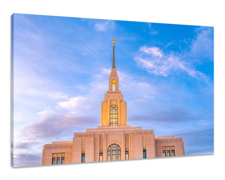 Red Cliffs Utah Temple - Pink Sky