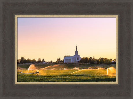 Burley Temple - Seed of Faith