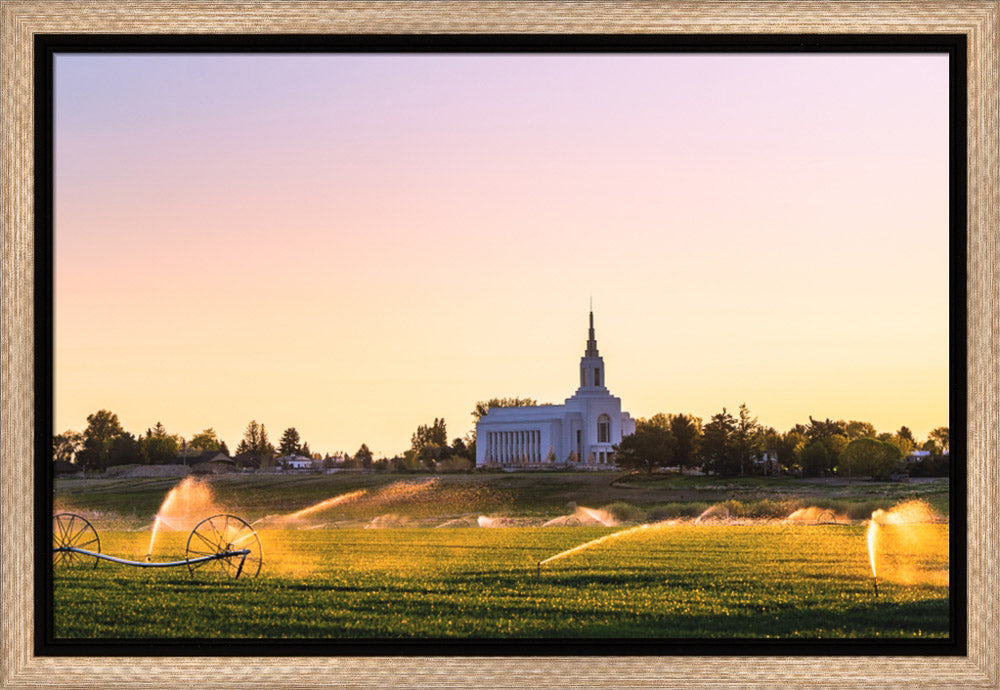 Burley Temple - Seed of Faith