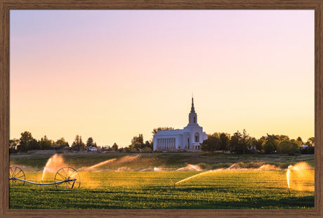 Burley Temple - Seed of Faith