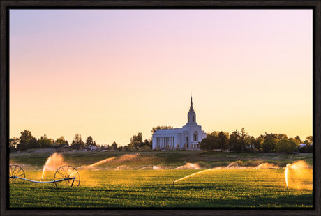 Burley Temple - Seed of Faith