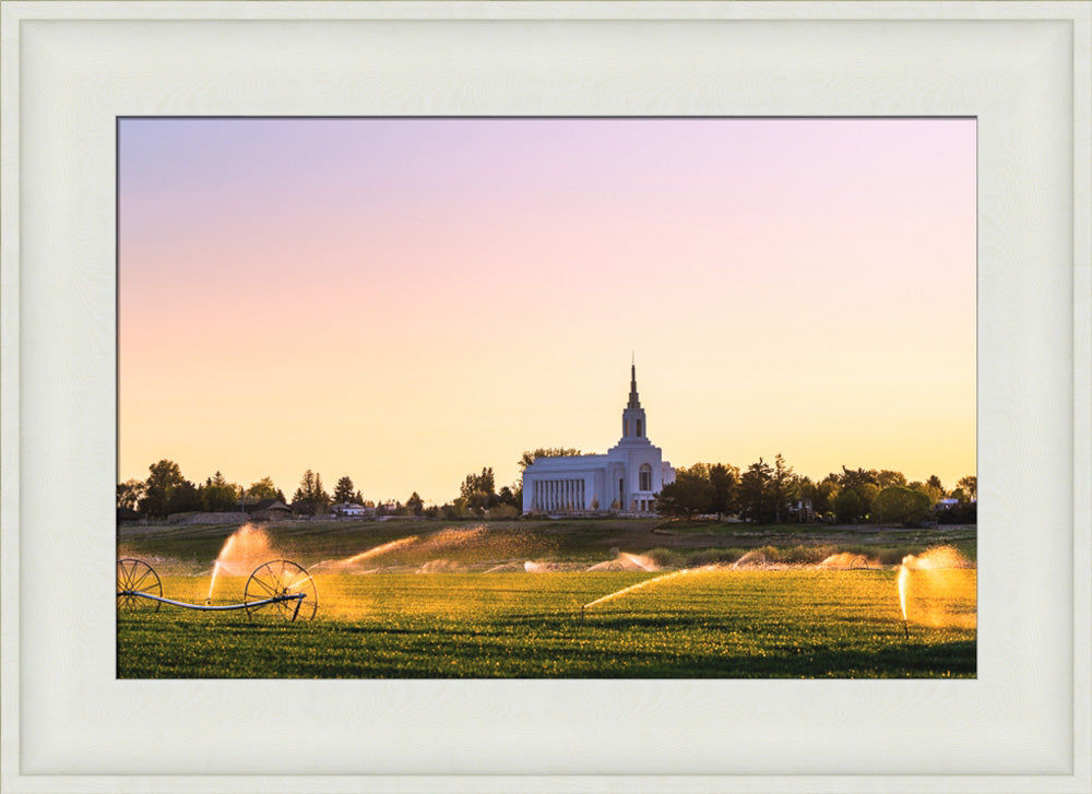 Burley Temple - Seed of Faith