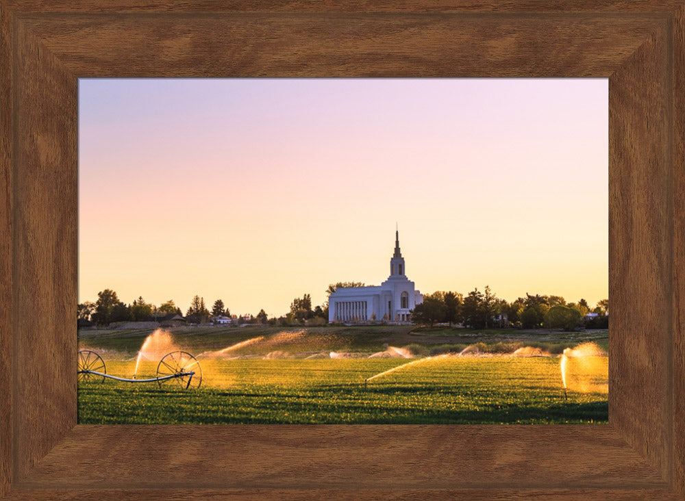 Burley Temple - Seed of Faith