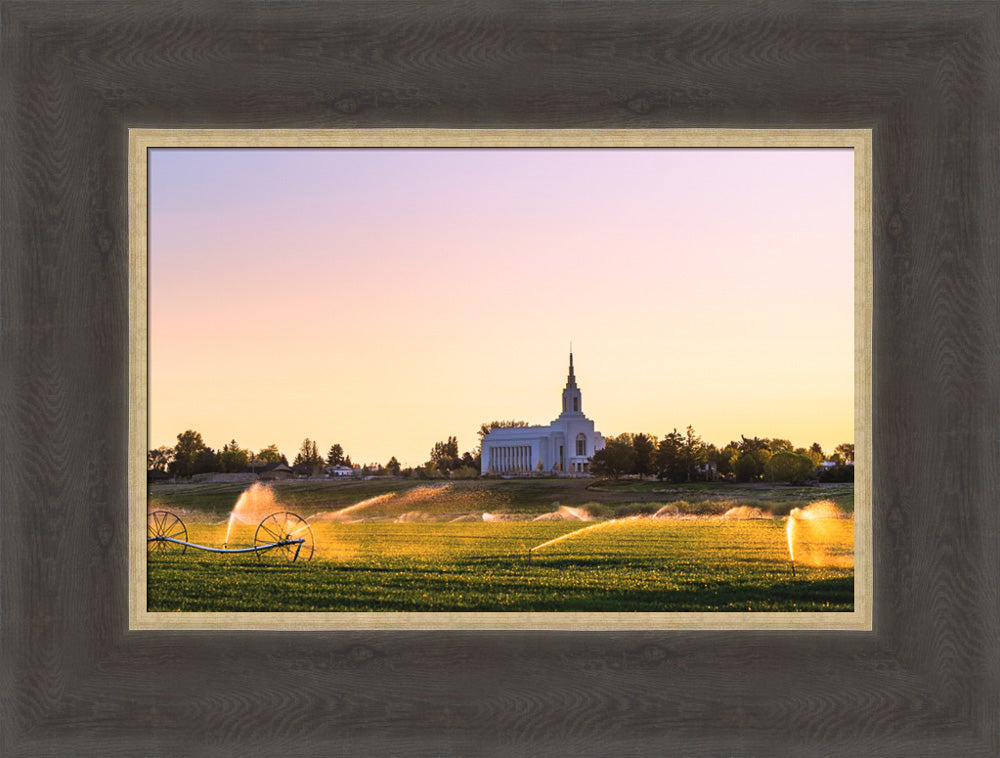 Burley Temple - Seed of Faith