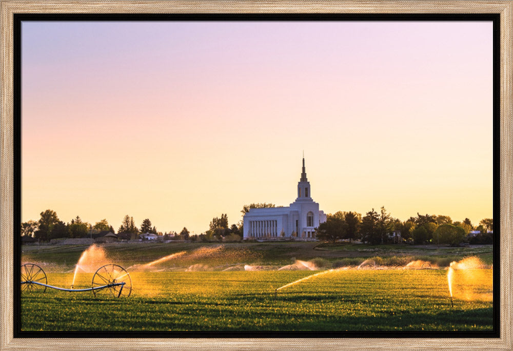 Burley Temple - Seed of Faith