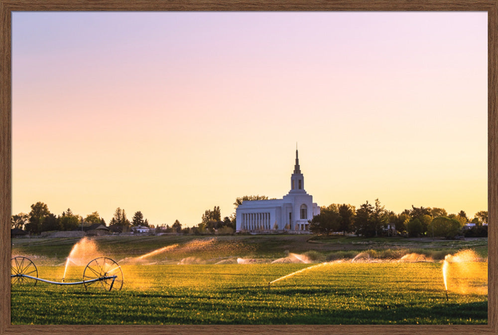 Burley Temple - Seed of Faith