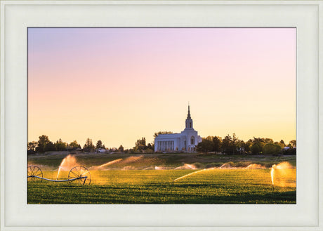 Burley Temple - Seed of Faith