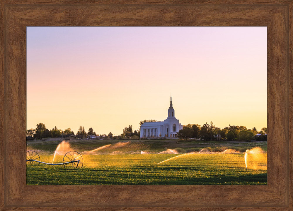 Burley Temple - Seed of Faith