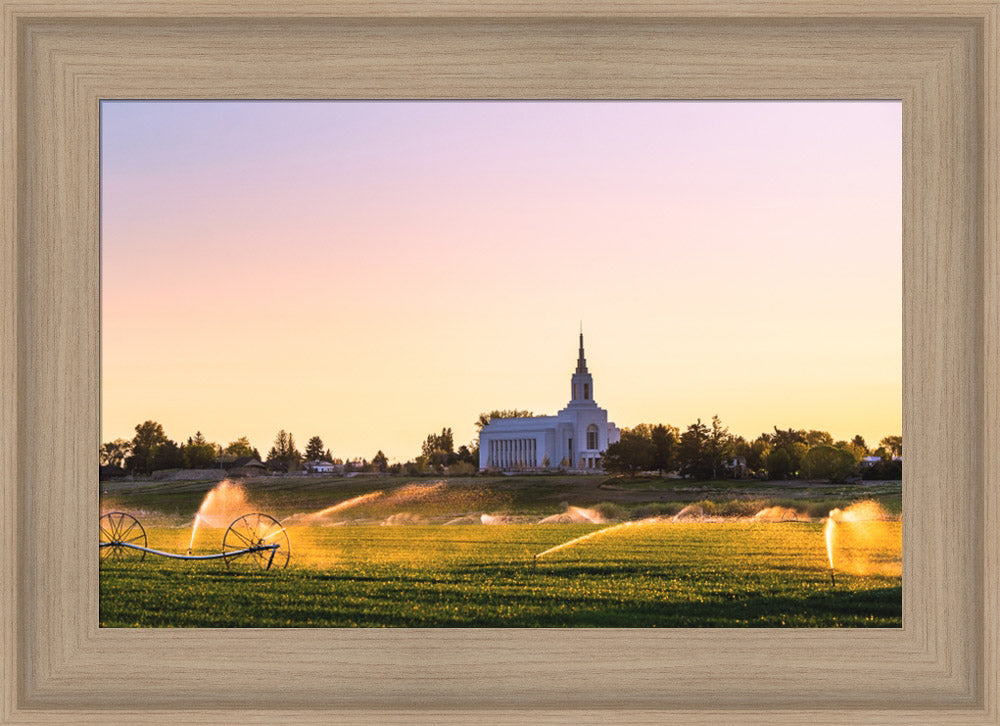 Burley Temple - Seed of Faith