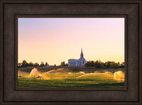 Burley Temple - Seed of Faith