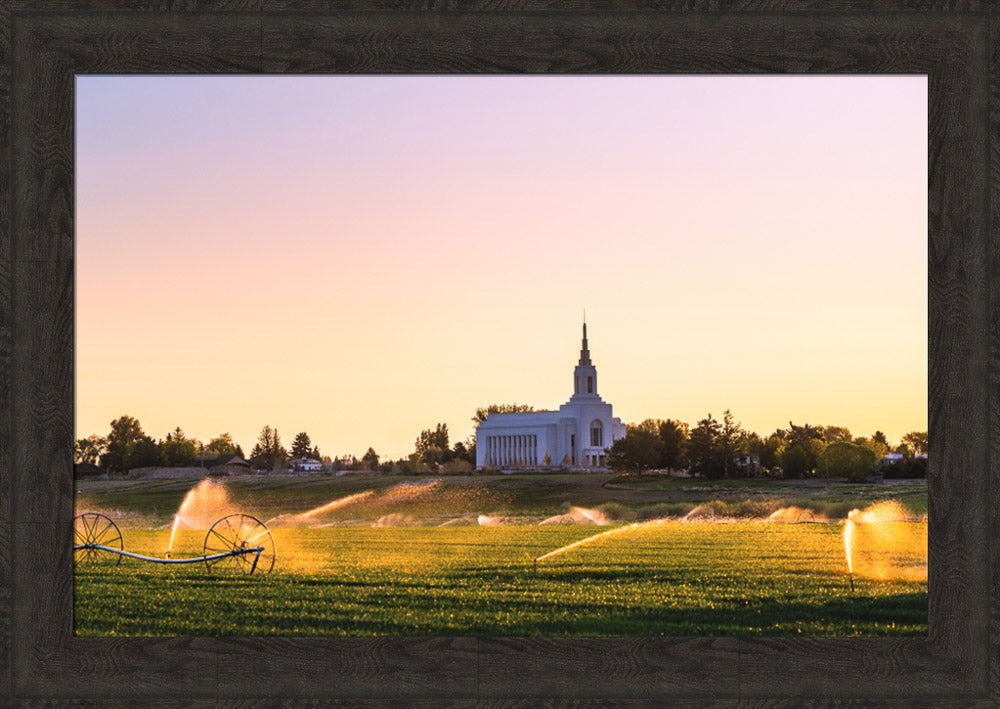 Burley Temple - Seed of Faith