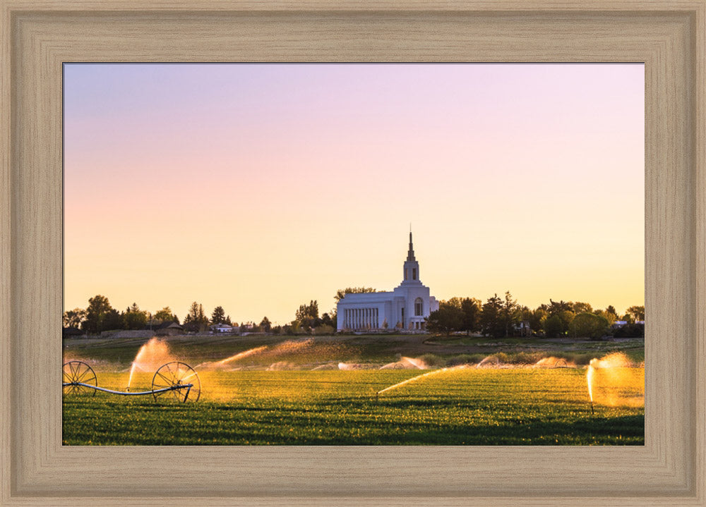 Burley Temple - Seed of Faith