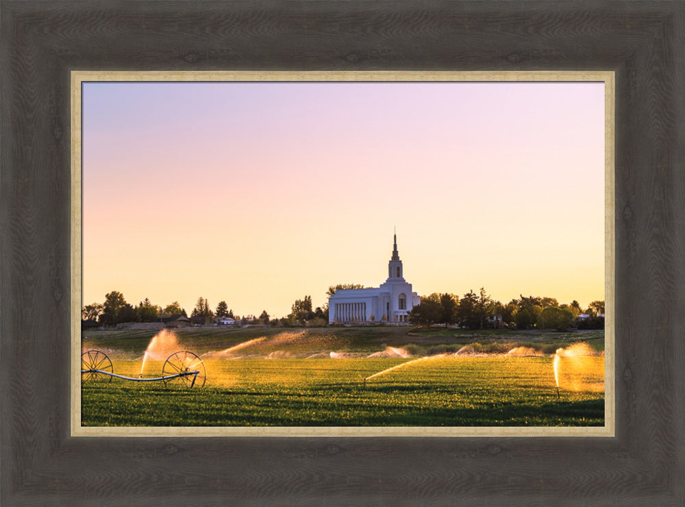 Burley Temple - Seed of Faith