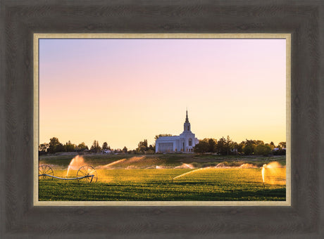 Burley Temple - Seed of Faith