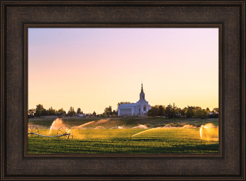 Burley Temple - Seed of Faith