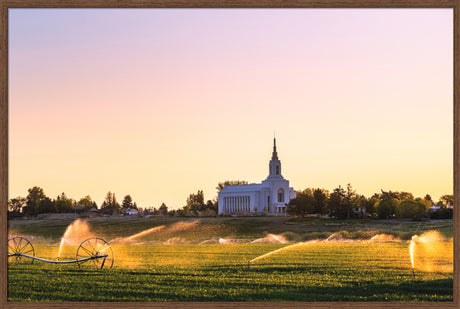 Burley Temple - Seed of Faith