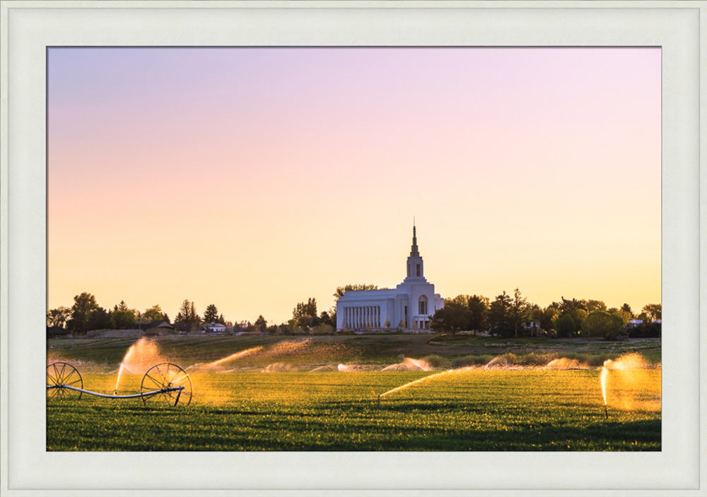 Burley Temple - Seed of Faith