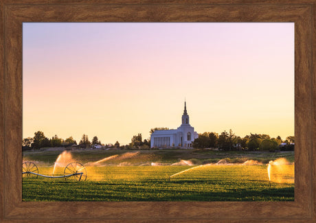 Burley Temple - Seed of Faith