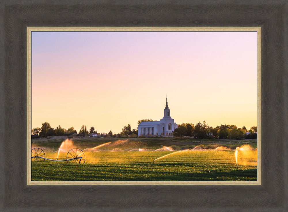 Burley Temple - Seed of Faith