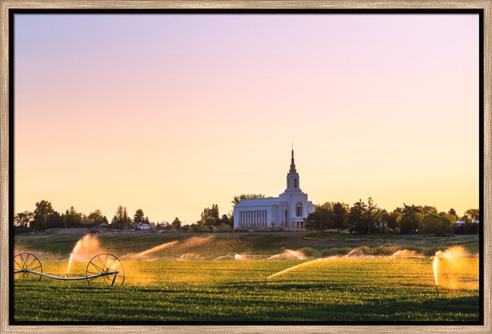 Burley Temple - Seed of Faith