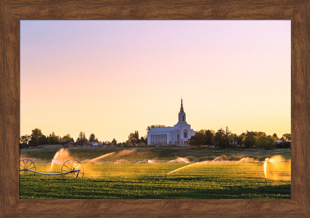 Burley Temple - Seed of Faith