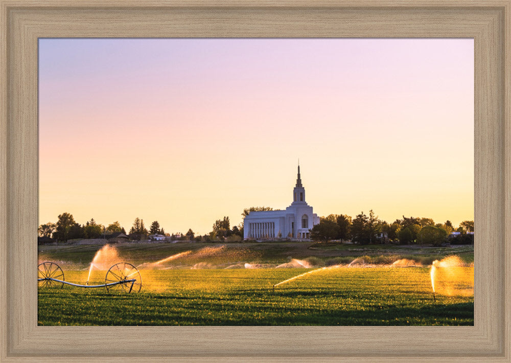 Burley Temple - Seed of Faith